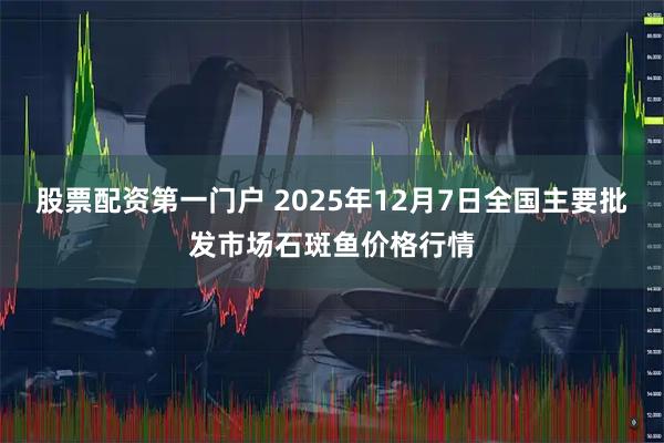 股票配资第一门户 2025年12月7日全国主要批发市场石斑鱼价格行情