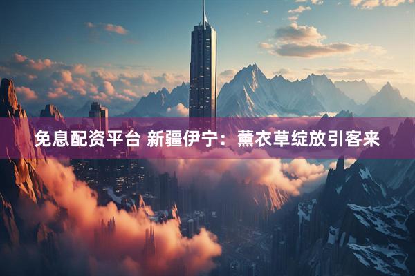 免息配资平台 新疆伊宁：薰衣草绽放引客来