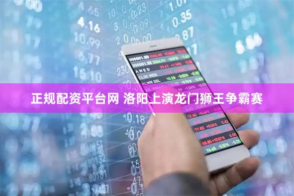 正规配资平台网 洛阳上演龙门狮王争霸赛