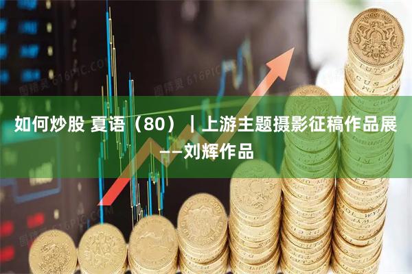 如何炒股 夏语（80）｜上游主题摄影征稿作品展——刘辉作品
